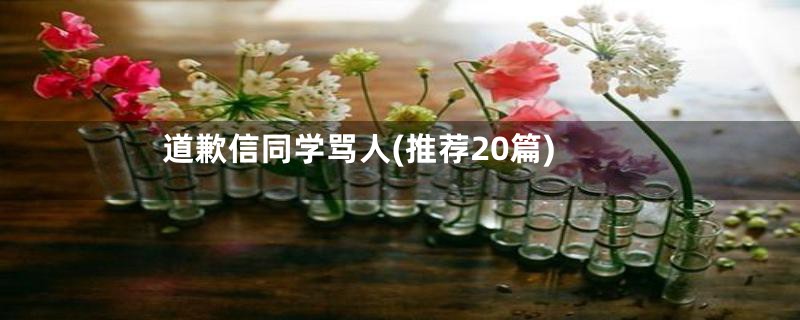 道歉信同学骂人(推荐20篇)