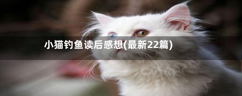 小猫钓鱼读后感想(最新22篇)