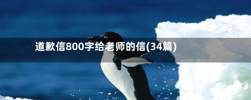 道歉信800字给老师的信(34篇)