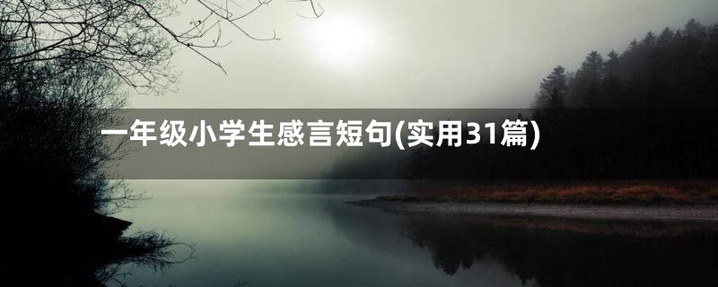 一年级小学生感言短句(实用31篇)