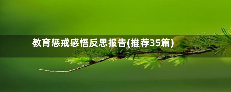 教育惩戒感悟反思报告(推荐35篇)