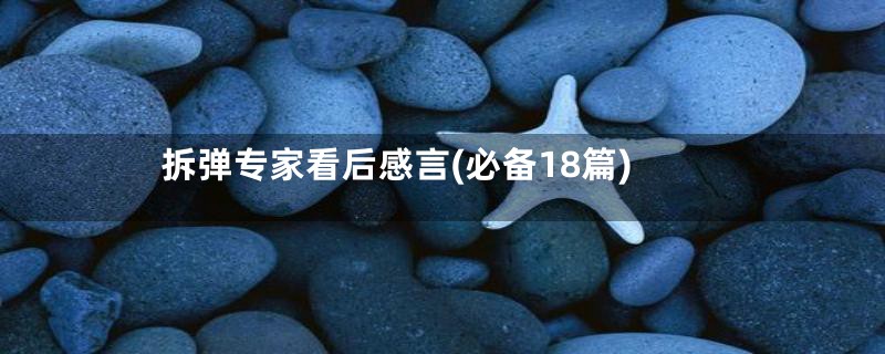 拆弹专家看后感言(必备18篇)