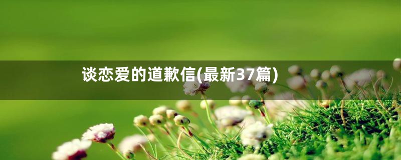 谈恋爱的道歉信(最新37篇)