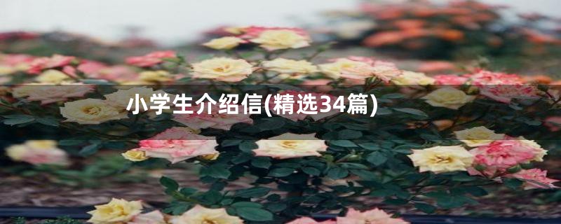 小学生介绍信(精选34篇)