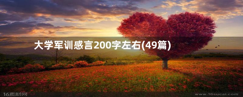 大学军训感言200字左右(49篇)