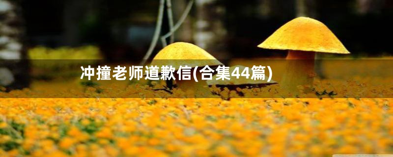 冲撞老师道歉信(合集44篇)