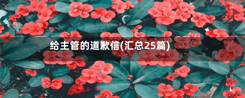 给主管的道歉信(汇总25篇)