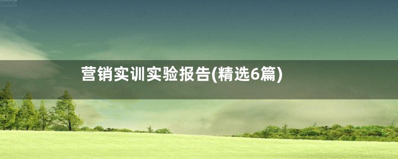 营销实训实验报告(精选6篇)