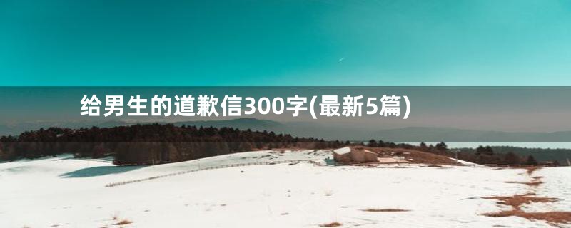 给男生的道歉信300字(最新5篇)