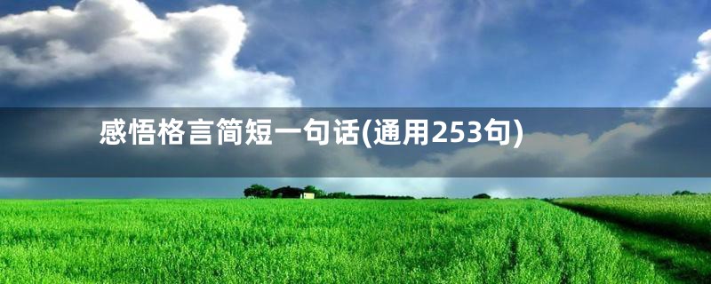 感悟格言简短一句话(通用253句)