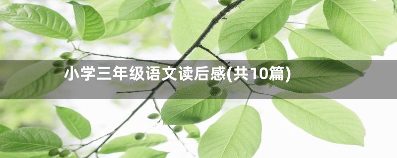 小学三年级语文读后感(共10篇)