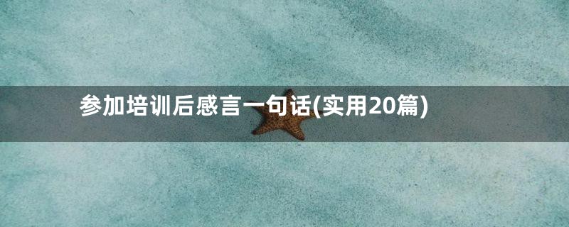 参加培训后感言一句话(实用20篇)