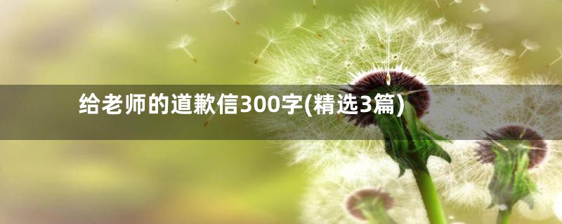 给老师的道歉信300字(精选3篇)