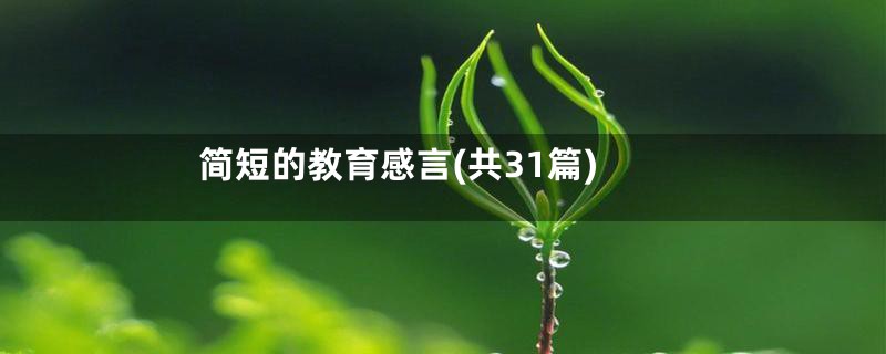 简短的教育感言(共31篇)