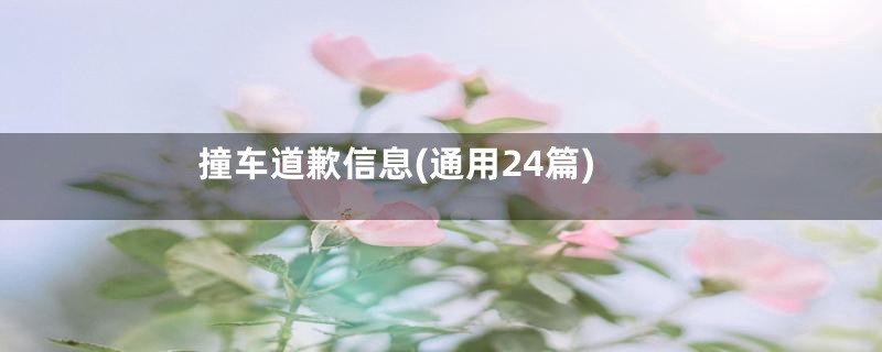 撞车道歉信息(通用24篇)