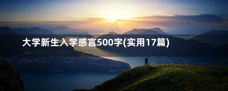 大学新生入学感言500字(实用17篇)