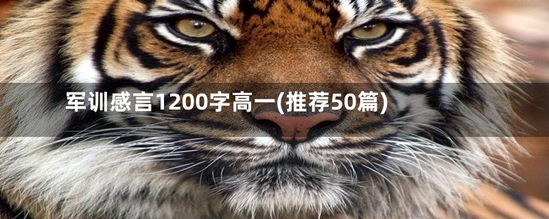 军训感言1200字高一(推荐50篇)