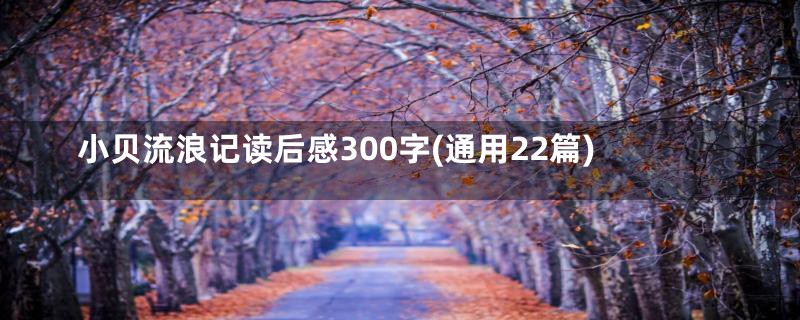 小贝流浪记读后感300字(通用22篇)