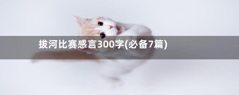 拔河比赛感言300字(必备7篇)