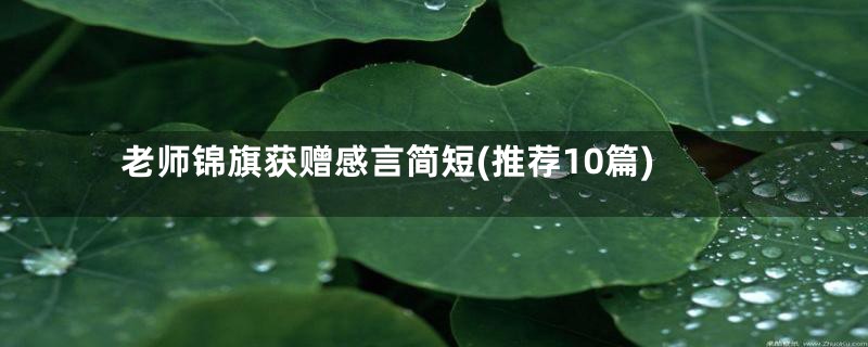 老师锦旗获赠感言简短(推荐10篇)