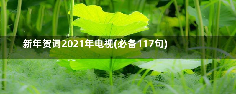 新年贺词2021年电视(必备117句)