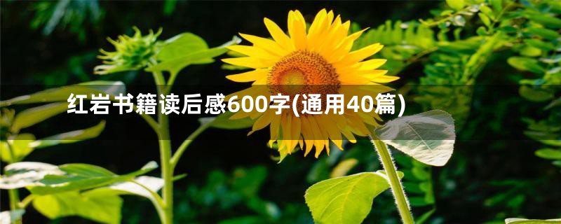 红岩书籍读后感600字(通用40篇)