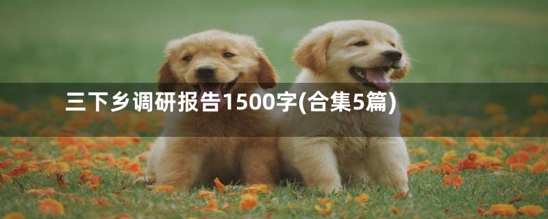 三下乡调研报告1500字(合集5篇)