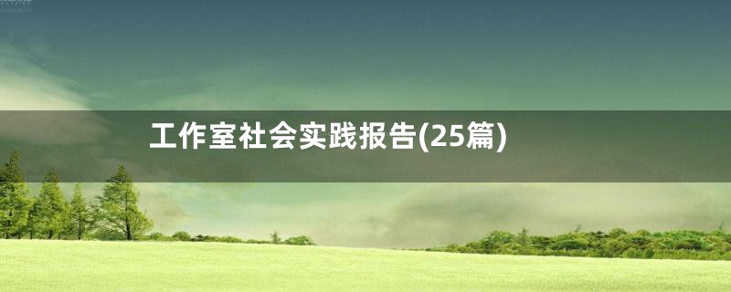 工作室社会实践报告(25篇)