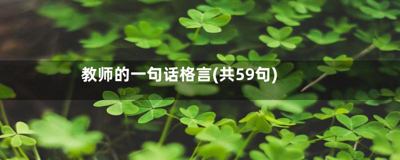 教师的一句话格言(共59句)