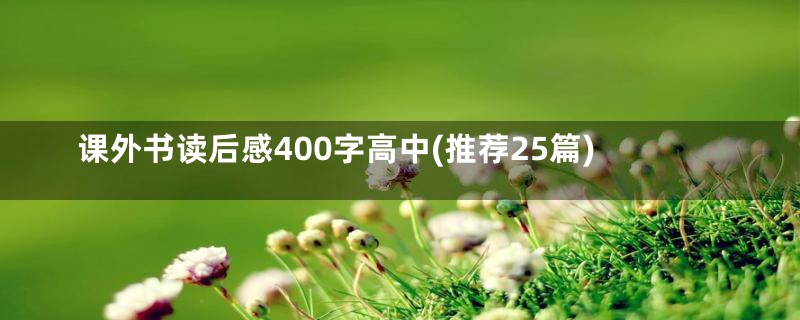 课外书读后感400字高中(推荐25篇)