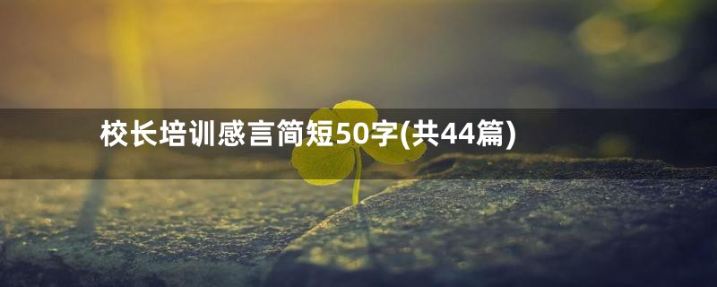 校长培训感言简短50字(共44篇)