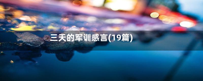 三天的军训感言(19篇)