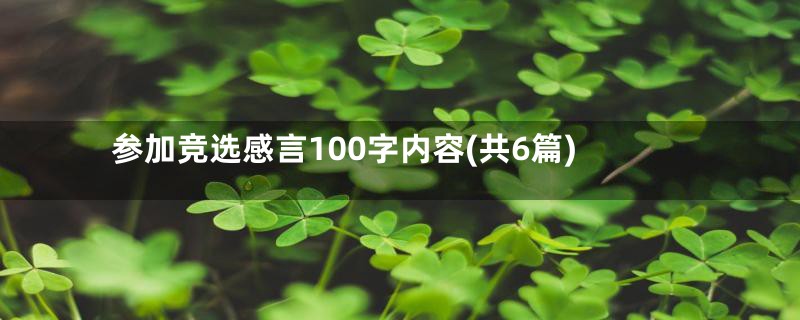 参加竞选感言100字内容(共6篇)