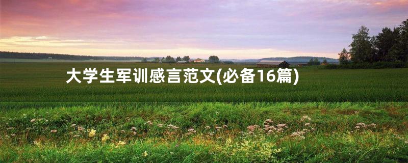 大学生军训感言范文(必备16篇)