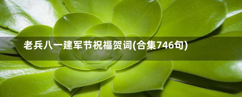 老兵八一建军节祝福贺词(合集746句)