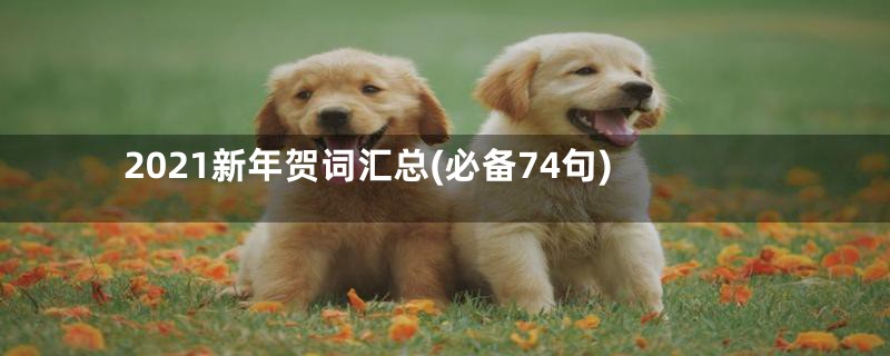 2021新年贺词汇总(必备74句)