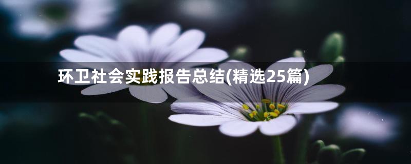 环卫社会实践报告总结(精选25篇)