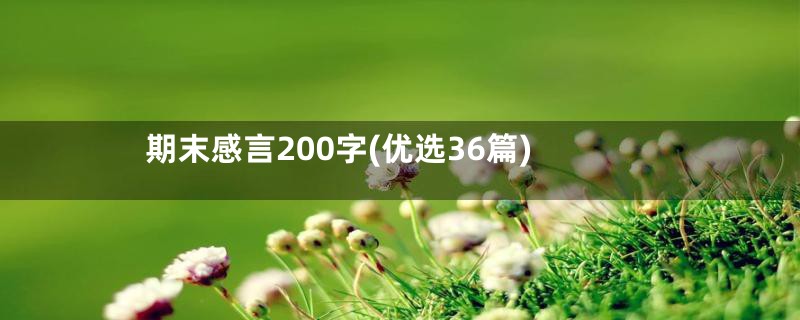 期末感言200字(优选36篇)