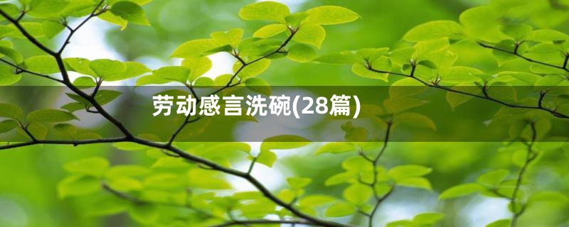 劳动感言洗碗(28篇)