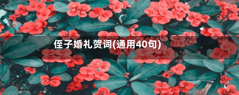 侄子婚礼贺词(通用40句)