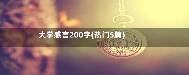 大学感言200字(热门5篇)