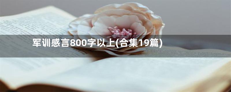 军训感言800字以上(合集19篇)