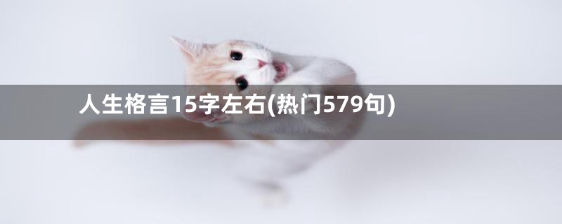 人生格言15字左右(热门579句)