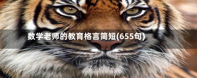 数学老师的教育格言简短(655句)