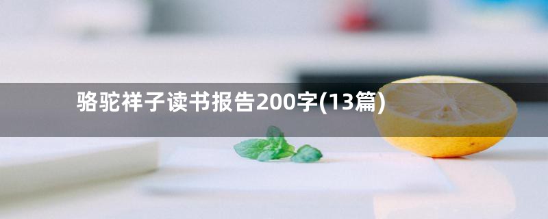 骆驼祥子读书报告200字(13篇)