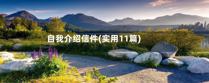 自我介绍信件(实用11篇)