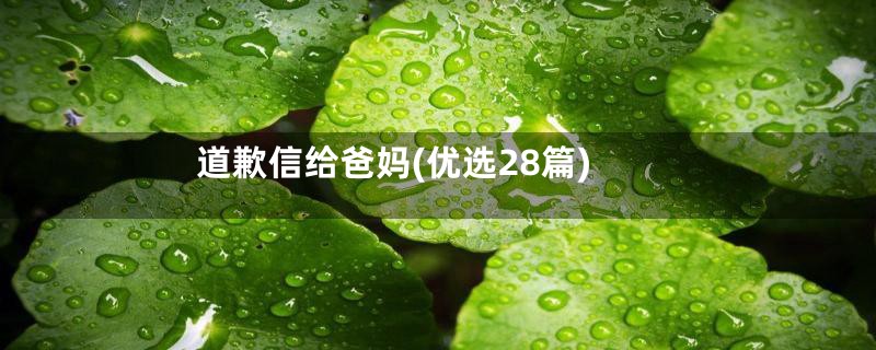 道歉信给爸妈(优选28篇)