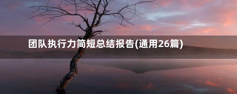 团队执行力简短总结报告(通用26篇)