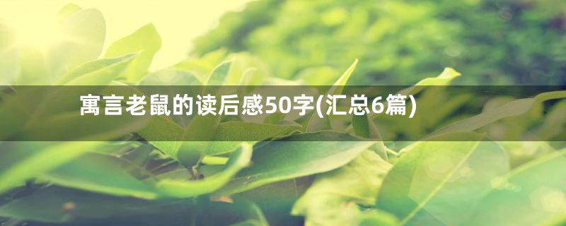 寓言老鼠的读后感50字(汇总6篇)