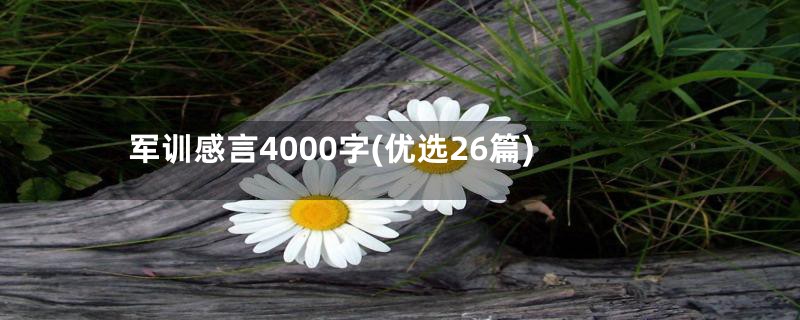 军训感言4000字(优选26篇)